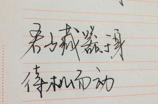 娱乐吃瓜君手写,娱乐圈幕后那些事儿