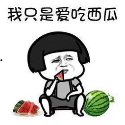 娱乐吃瓜酱一直不上班,揭秘“躺平”网红的日常