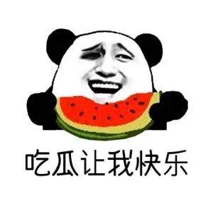 八卦 娱乐 吃瓜,吃瓜群众的热议焦点