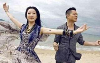 娱乐吃瓜酱凤凰传奇,揭秘凤凰传奇背后的故事与传奇