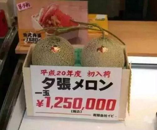 娱乐吃瓜项目有哪些,盘点热门吃瓜项目，带你领略幕后风云