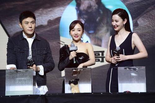 21年吃瓜汇总娱乐圈,热点事件回顾与盘点